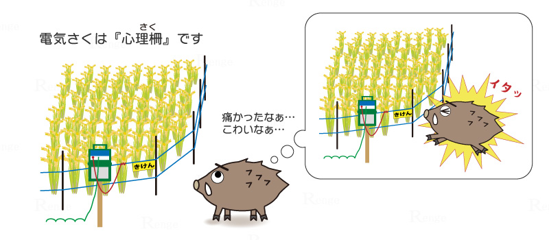 電気さくは「心理柵」です