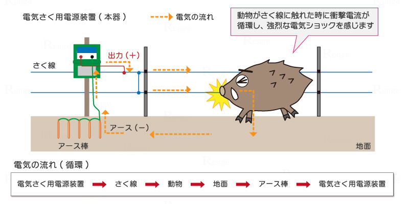 電気さくのしくみ　電気の流れ（循環）