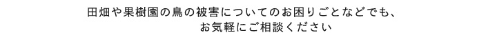 鳥被害のお困りごとはなんでもご相談ください