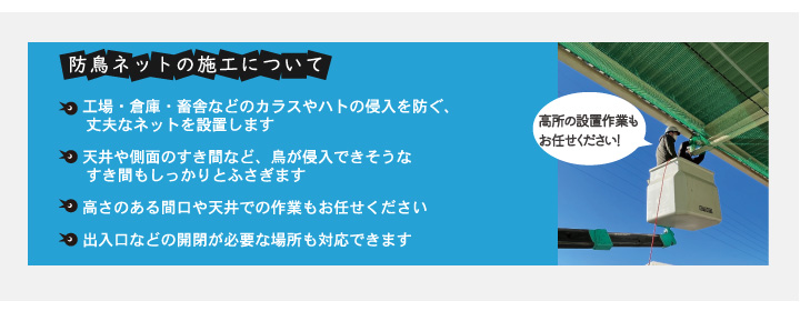 防鳥ネット施工について