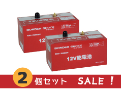 タイガー　12V乾電池2個セット　SALE
