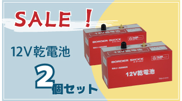 タイガー12V乾電池2個セット　セール