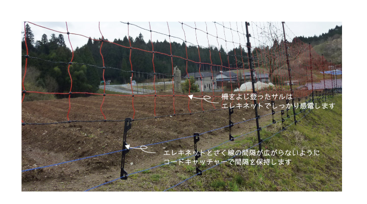 電気さくセット　エレキネット仕様50ｍ　ガイシ付ＦＲＰ185　設置例