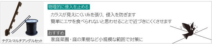 カラス対策　マルチアングル／テグスセット