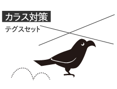 カラス対策