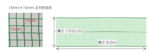 あいがもネット１０００