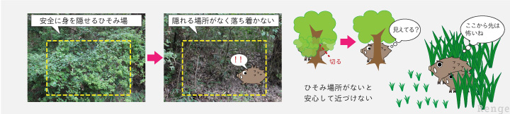 鳥獣害の総合対策　ひそみ場をなくす