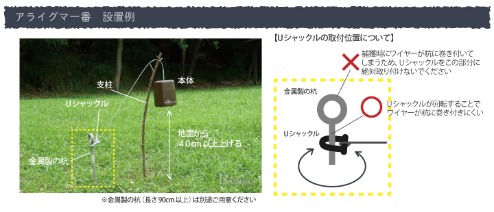 タイガー　アライグマ一番　設置例