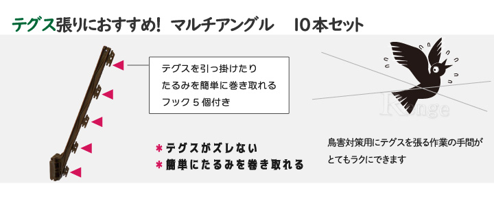 テグスにおすすめ　タイガー　マルチアングル10本セット