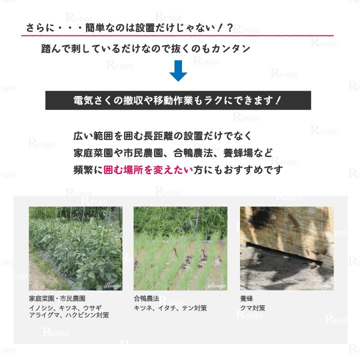 市場 7 小ロット ガイシ付支柱 BORDER 電気柵 20時〜ポイント10倍 4 TBS-PJ2096I ボーダーショック 電気牧柵 タイガー  10本 足踏み型 SHOCK 電柵