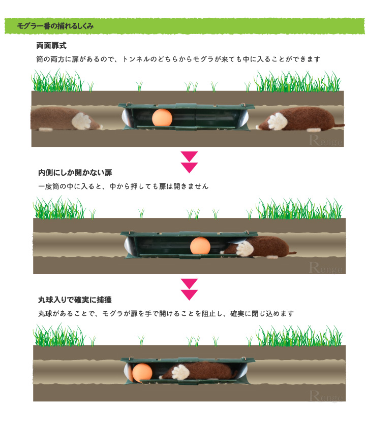 タイガー　モグラ一番のしくみ