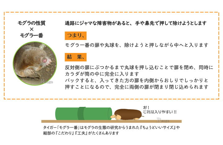 モグラの性質