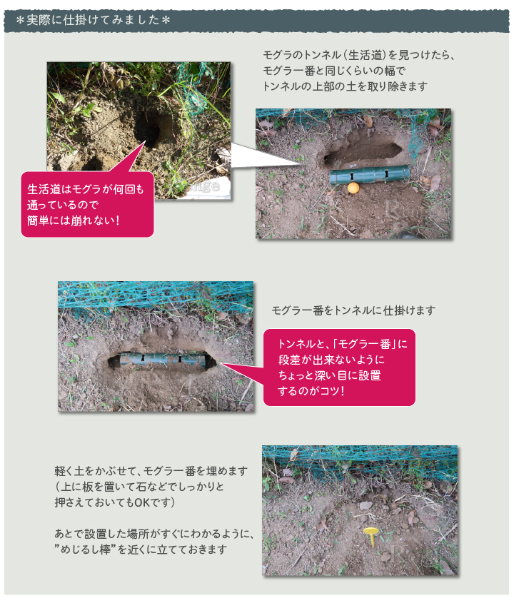 タイガー　モグラ一番を仕掛けてみました