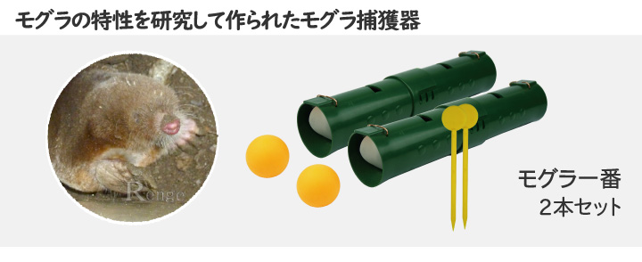 タイガー　モグラ一番