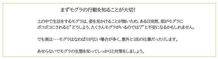 モグラの特性を知ることが大切