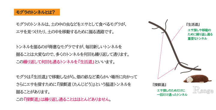 モグラのトンネルとは？