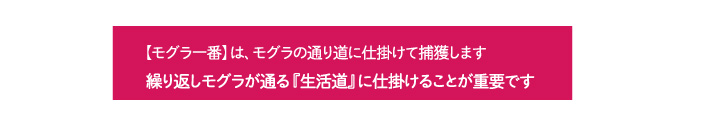 モグラ一番は生活道に仕掛けましょう